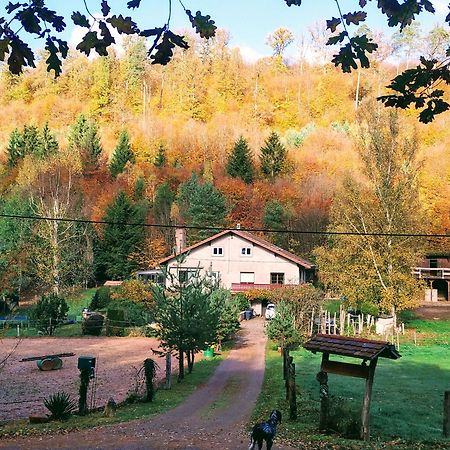 L'Echappee Verte - Gite Equestre 5 Pers Soucht Exterior foto