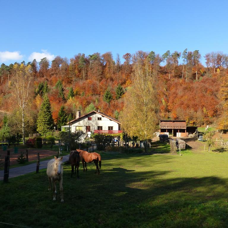 L'Echappee Verte - Gite Equestre 5 Pers Soucht Zimmer foto