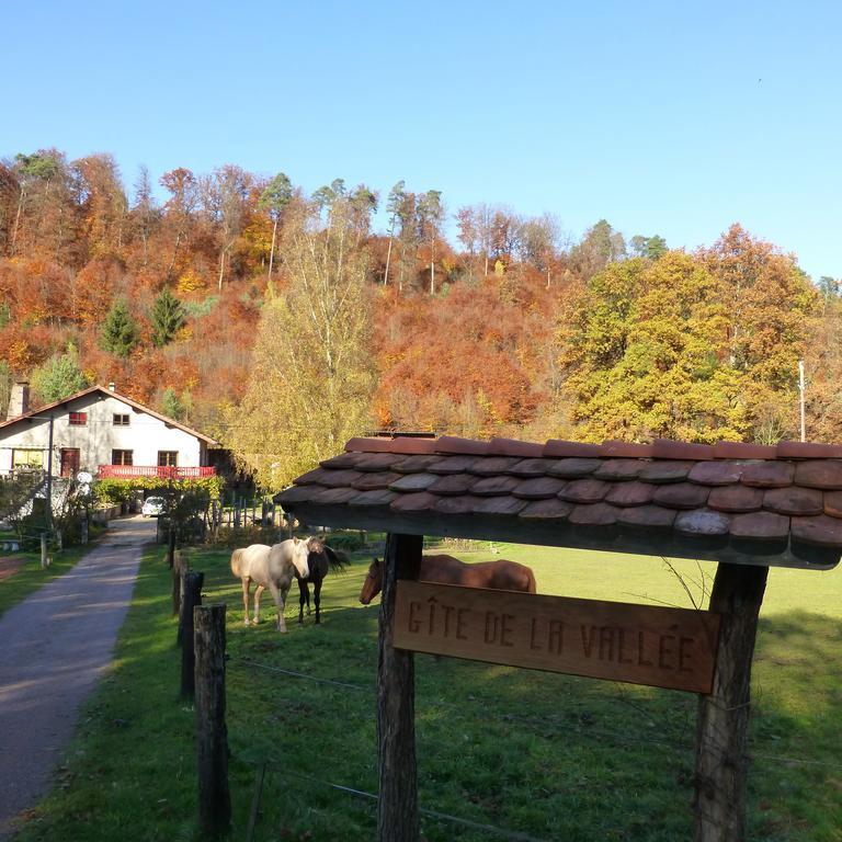 L'Echappee Verte - Gite Equestre 5 Pers Soucht Zimmer foto