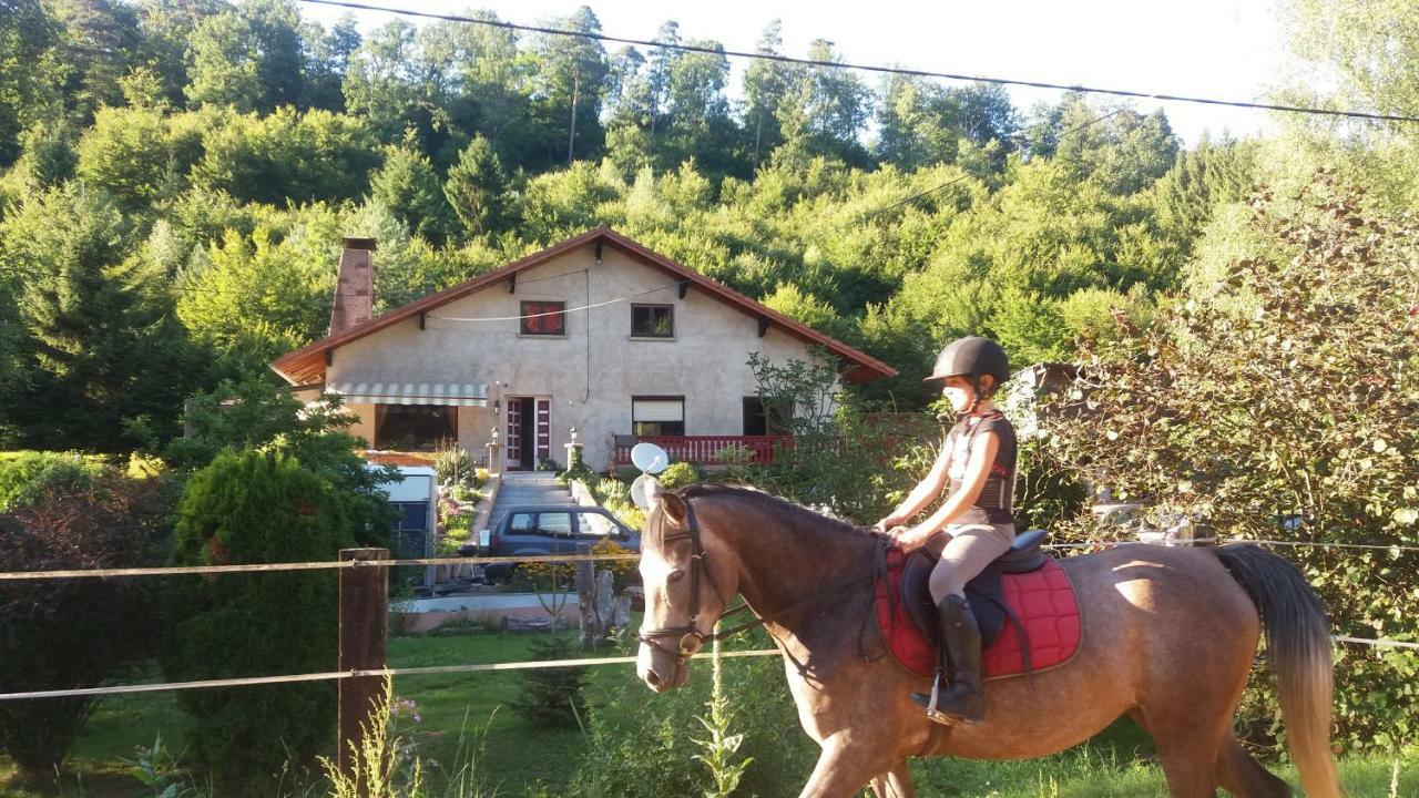 L'Echappee Verte - Gite Equestre 5 Pers Soucht Exterior foto